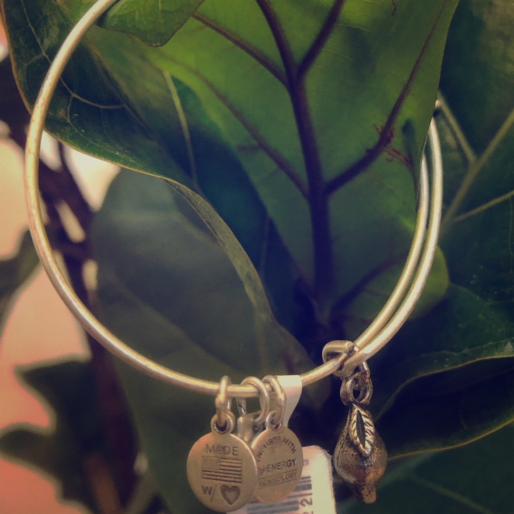 Alex and Ani bracelet- ZEST for LIFE
